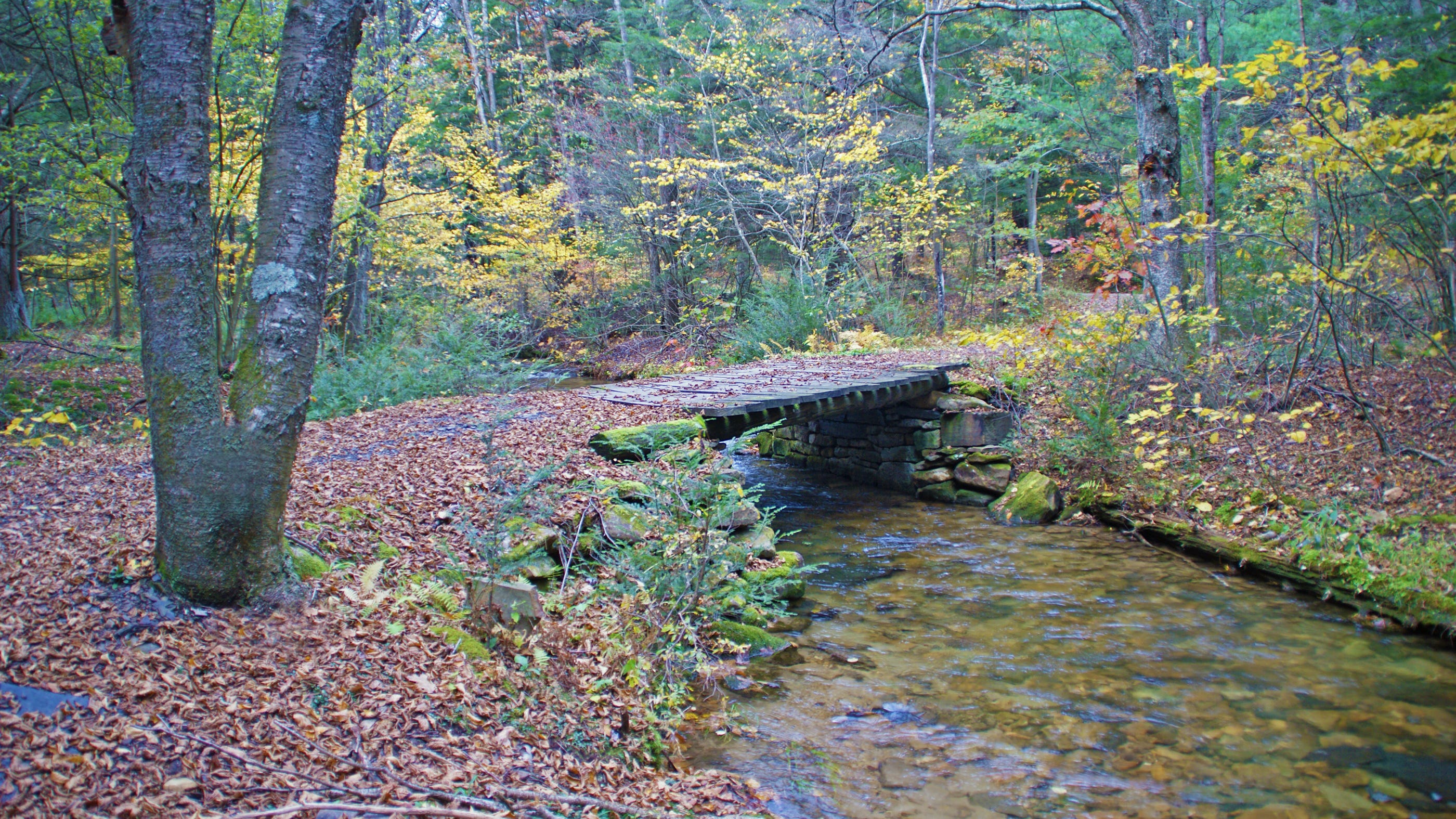 Pa. spending $45M to establish 3 new state parks, including 1 in Chester County