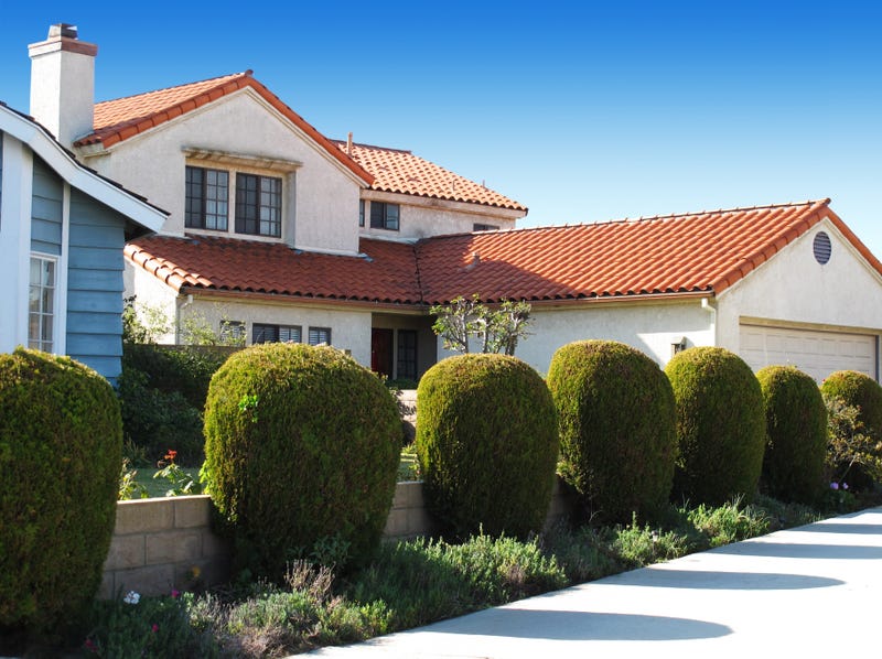 single family house with shrubs in the front
