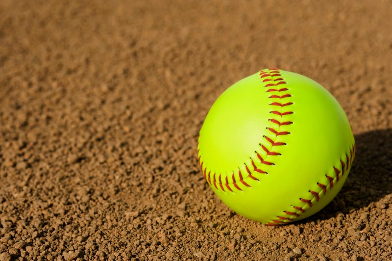 Wichita State softball
