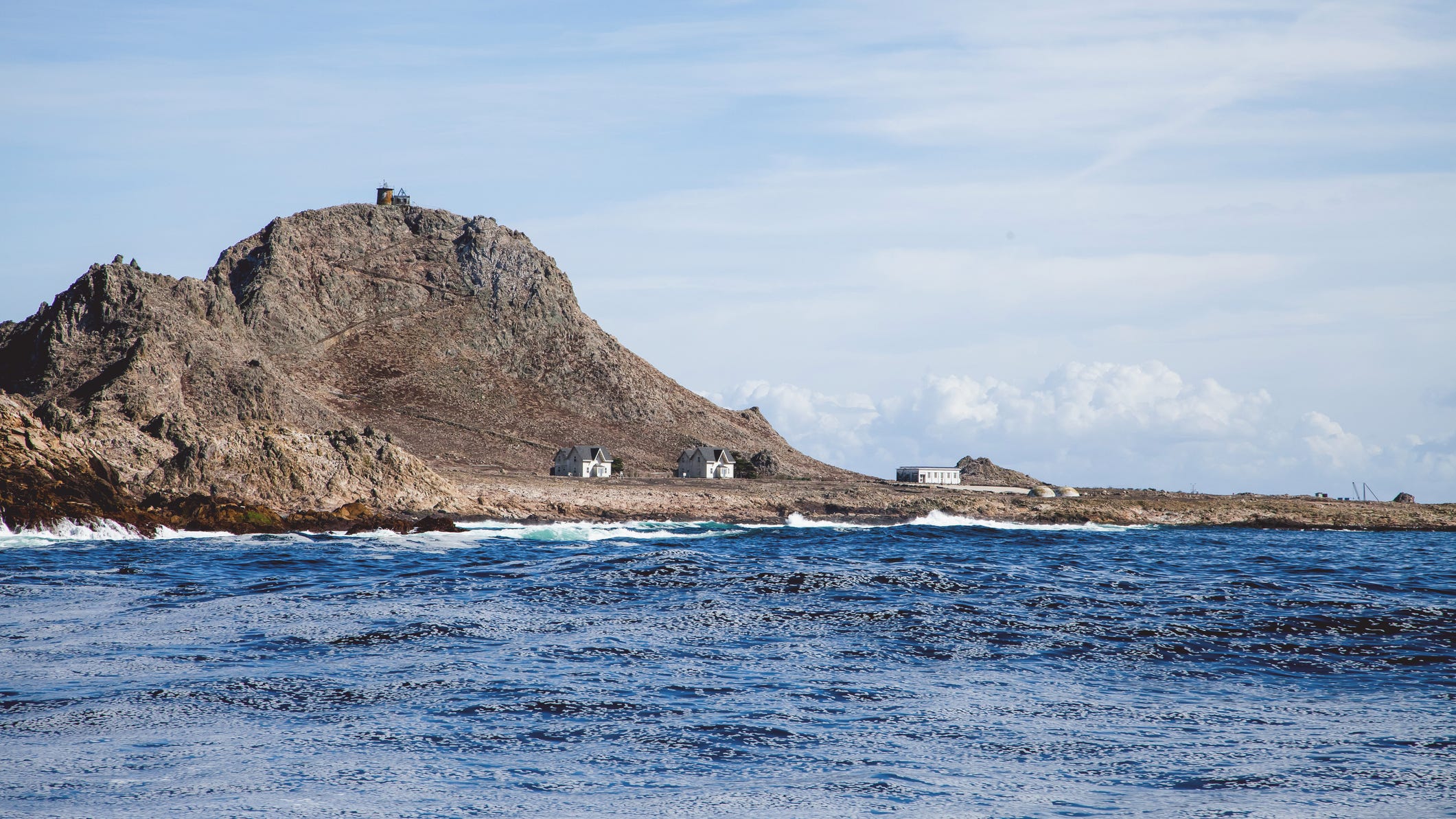 Wildlife officials consider dumping rodenticide on Farallon Islands