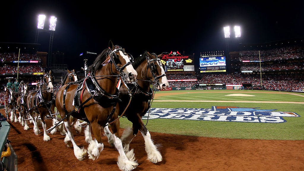 Meet the four new Clydesdales