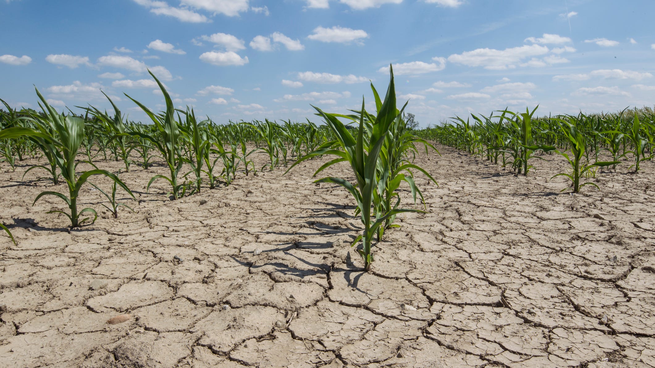 Reports show 70% of Texas is under some level of drought
