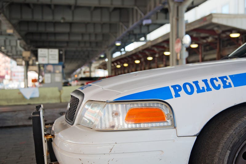 Shamar Wiltshire was charged with killing an electrician in front of Boulevard Houses in Brooklyn in September.
