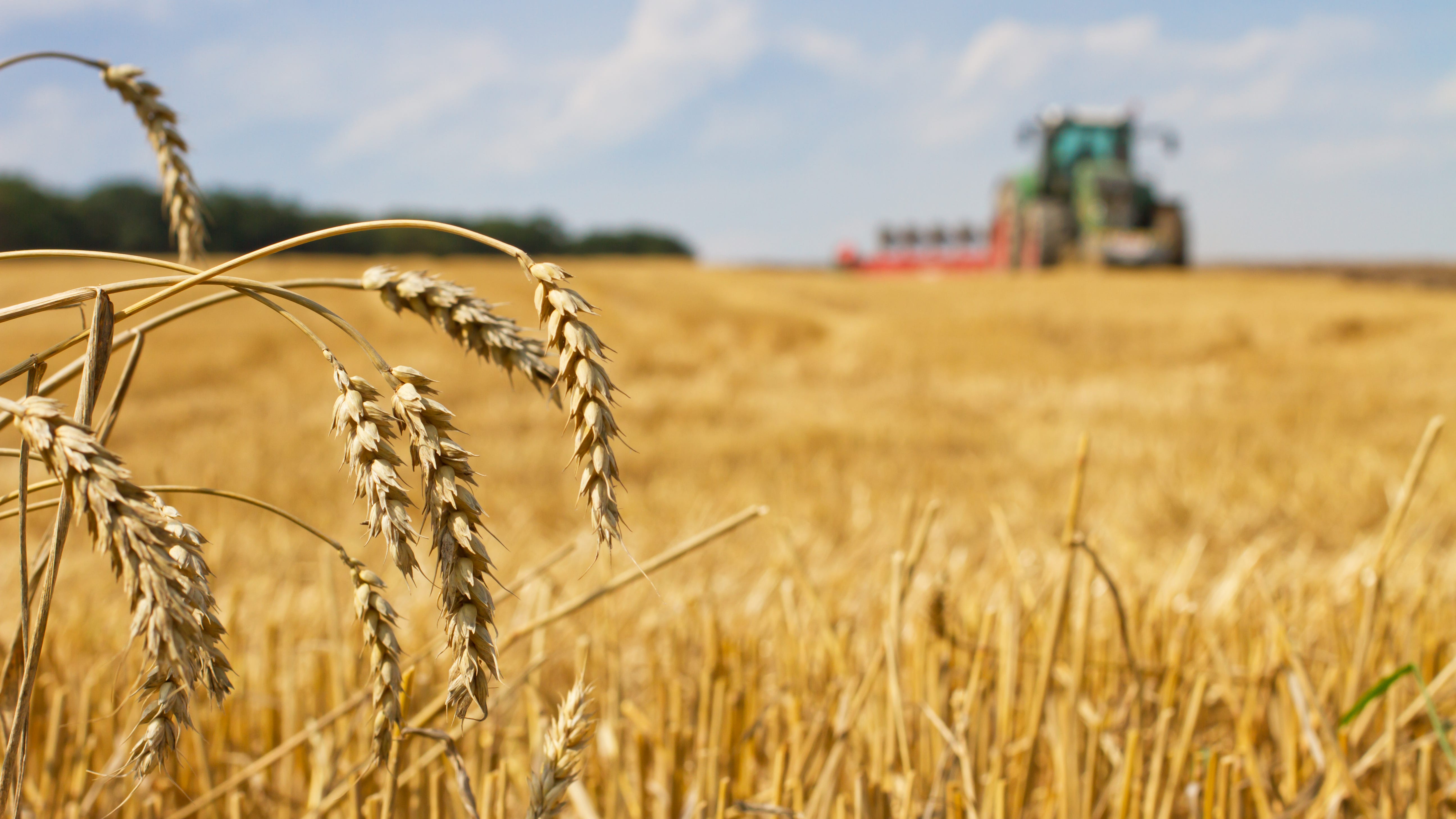 How the war in Ukraine has affected US farmers