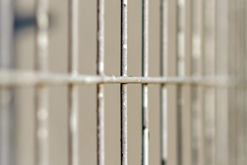 Prison Bars