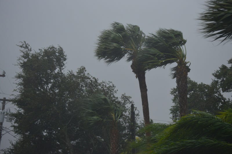 Hurricane winds
