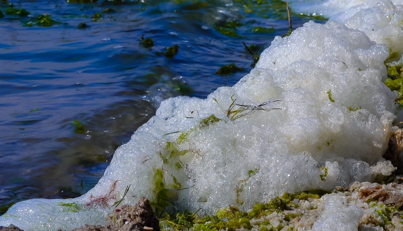 Dirty foam on the shore