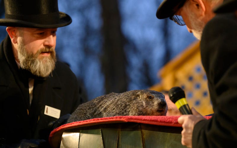 Groundhog handler AJ Dereume holds Punxsutawney Phil