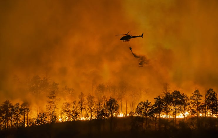 California wildfire