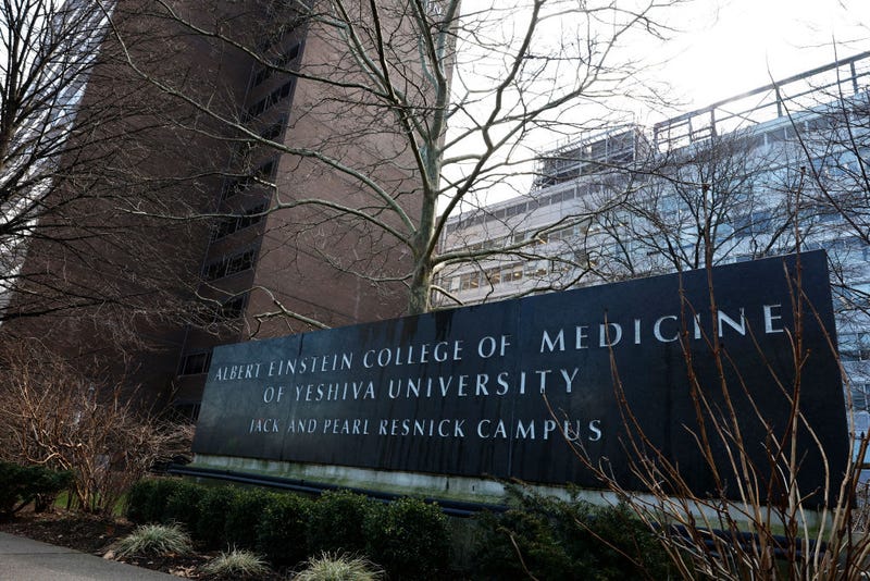 The Albert Einstein College of Medicine is seen on February 26, 2024 in the Morris Park neighborhood in the Bronx borough of New York City. Dr. Ruth Gottesman, a former professor at Einstein and widow of Wall Street financier David Gottesman, announced a $1 billion donation to the school, with the money to be used to cover tuition for all students going forward. The donation is one of the largest ever charitable gifts to an educational institution in the United States. 