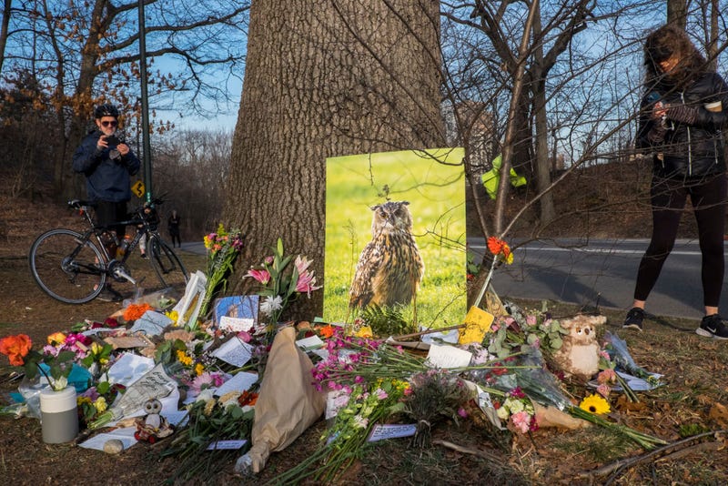 A memorial was held for Flaco the Owl on Sunday in Central Park.