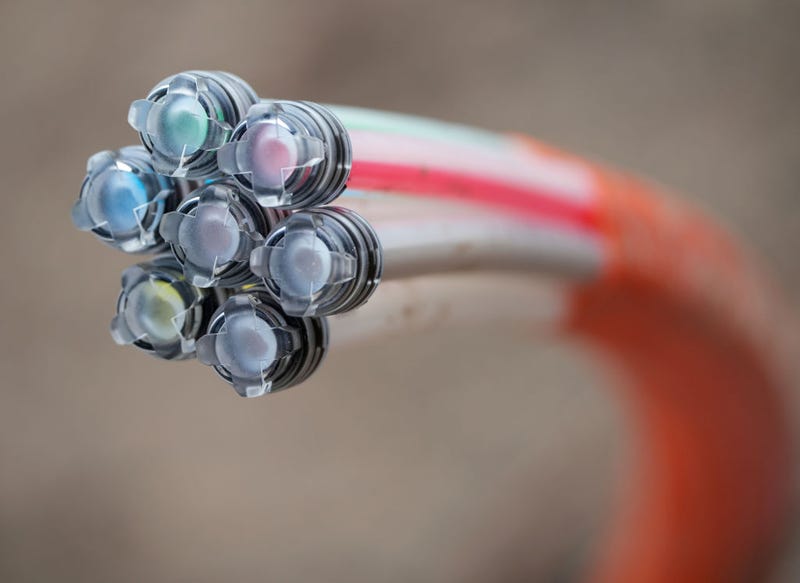 A fiber optic cable for broadband expansion, covered with transparent caps, protrudes from the ground at the edge of a construction site.