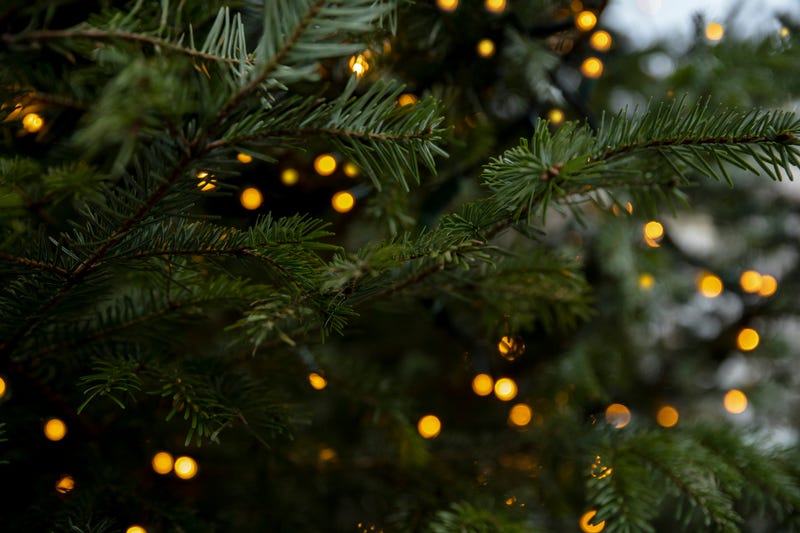 Winter holiday stock photo
