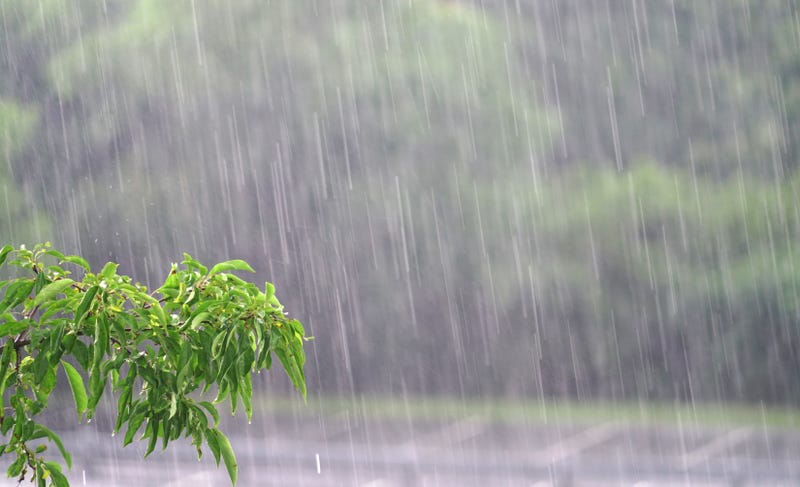 Rain