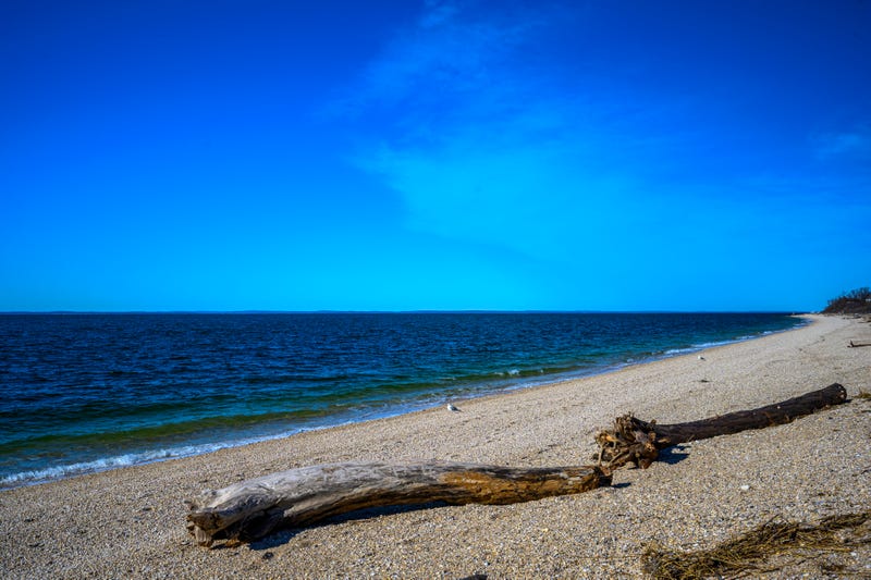 A Florida man drove into the Long Island Sound during a police chase in Greenport, police said