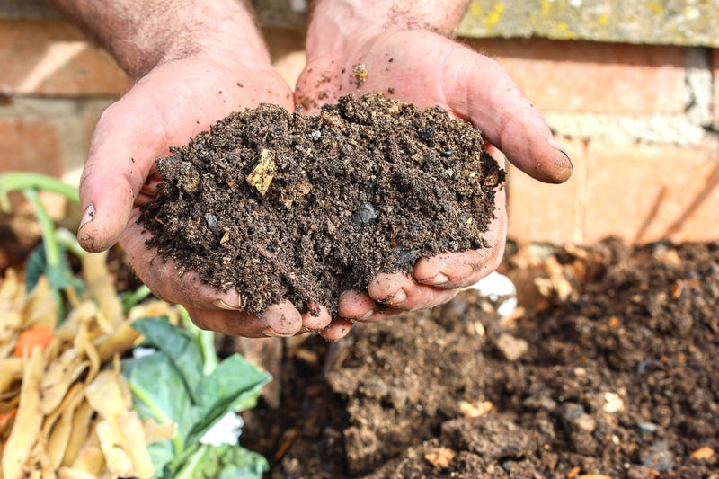 New Jersey has just become the 14th state to legalize natural organic reduction, sometimes called human composting, giving families the option to turn remains into soil rather than choosing traditional burial or cremation.