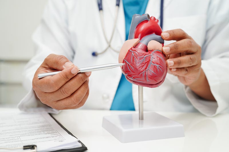 cardiologist 