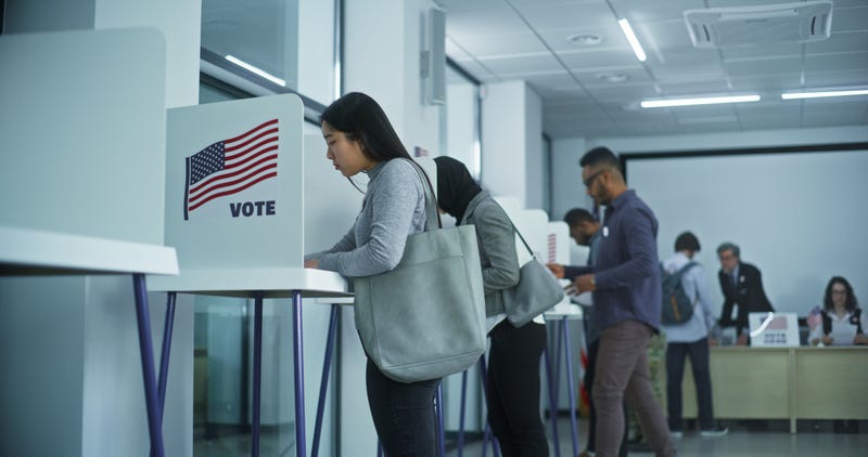 voters stand in voting booths at polling place