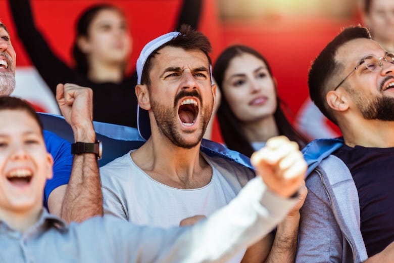Sport fans cheering at the game in a stadium