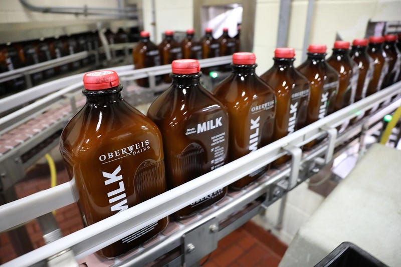Amber glass bottles of white milk roll through the bottling assembly line 