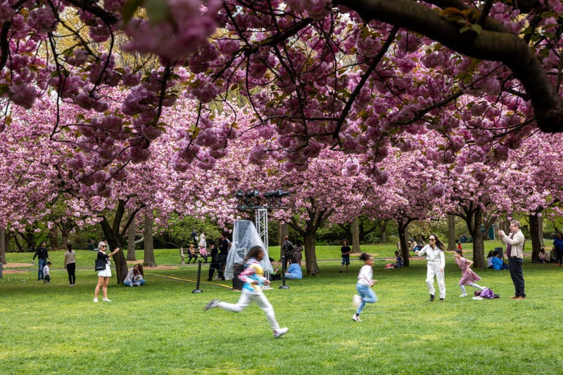 Brooklyn Botanic Garden