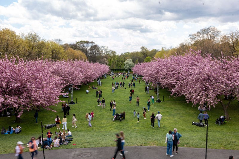 Brooklyn Botanic Garden
