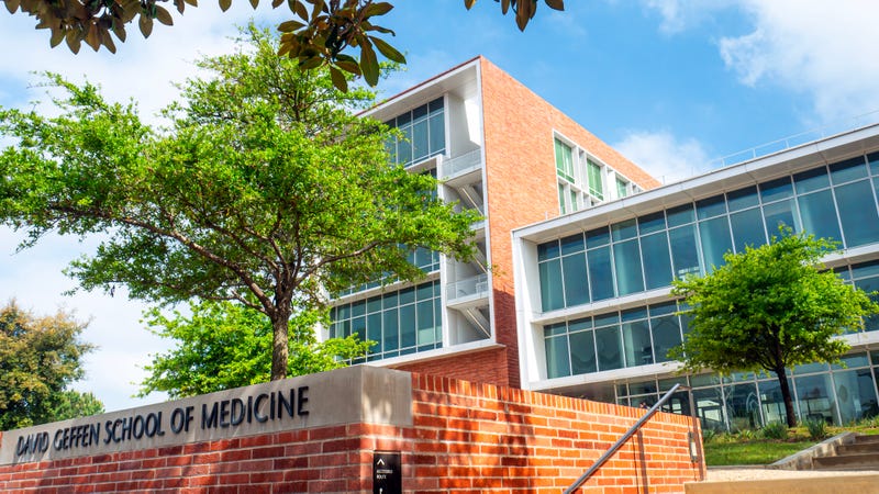 David Geffen School of Medicine