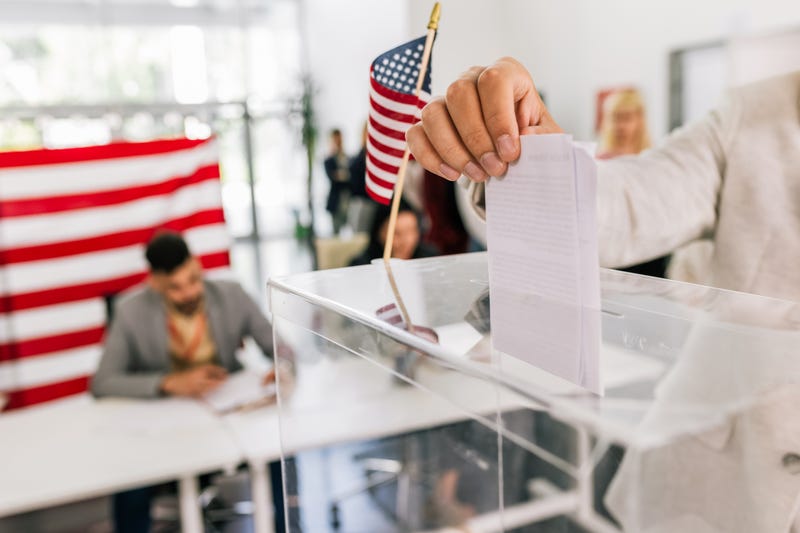 Minnesota Secretary of State Steve Simon is putting to rest concerns over the state's Driver's License for All law when it comes to voting in this Fall's election and non-citizens who could potentially vote illegally.