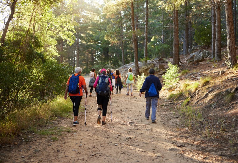 Friends hiking along a trail. Stock photo