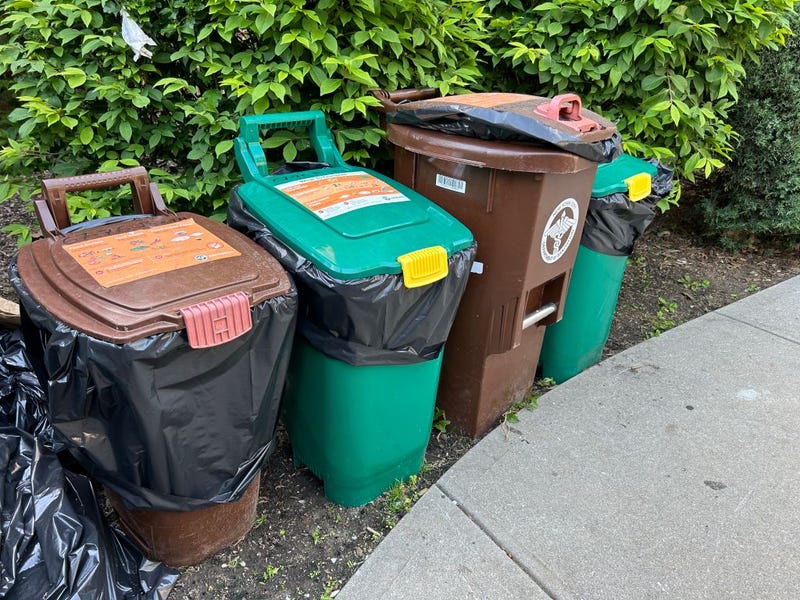 Several city Compost, food scrap collection bins lined up on sidewalk, Queens, New Yor