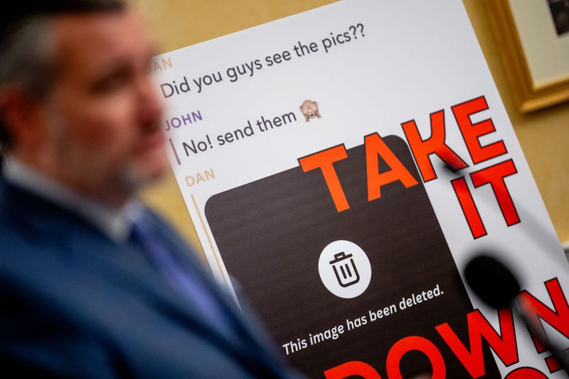 A bill introduced at the capitol would require companies to turn off consumer access to "nudification technology," which allows users to generate nude images of anyone using a simple photo and artificial intelligence.