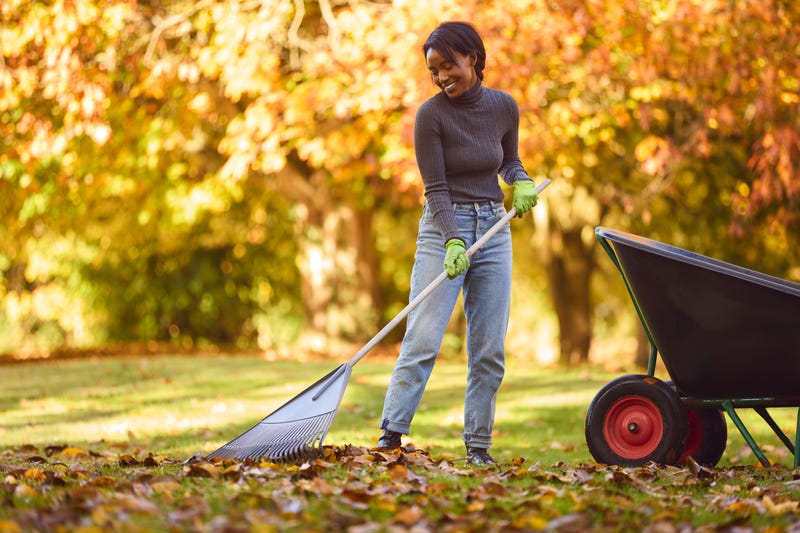 We’re all working to be good stewards of the land and resources here in Minnesota and that has many of us asking an age-old question as the leaves are falling in our yards: To rake or not to rake? 