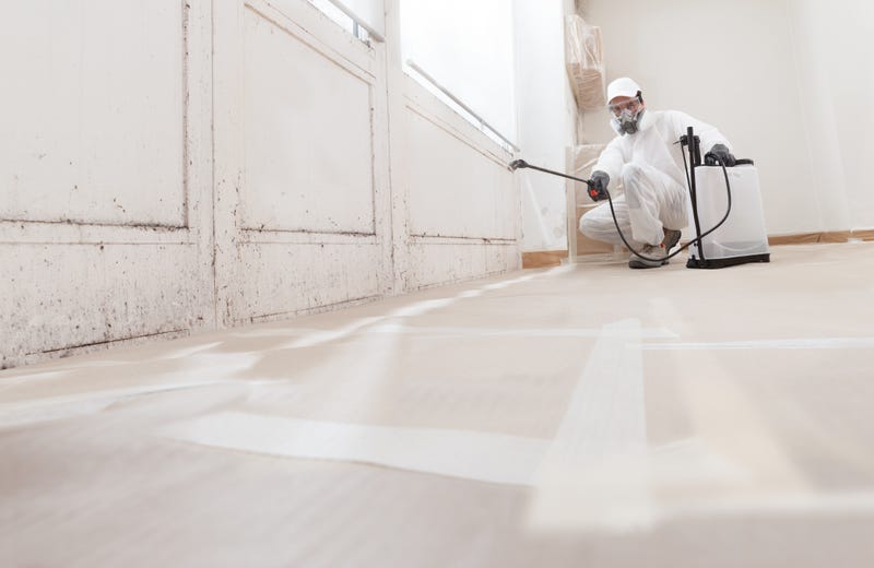Person spraying to remove mold in an empty room