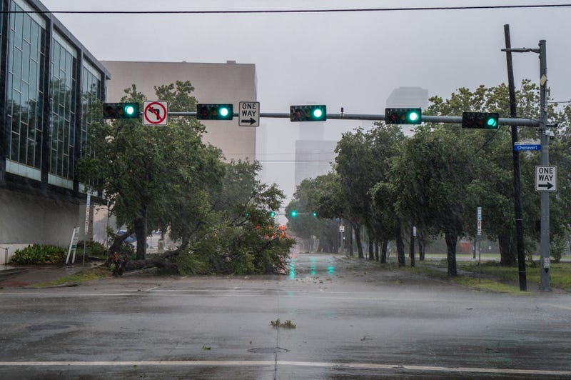 A tree is toppled over by heavy winds during Hurricane Beryl on July 8, 2024, in Houston, Texas. Tropical Storm Beryl developed into a Category 1 hurricane as it hit the Texas coast late last night.