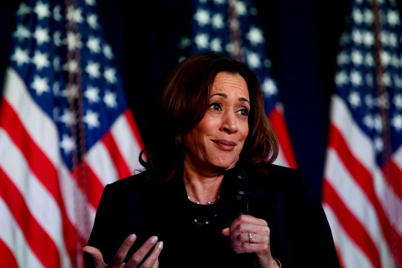 U.S. Vice President Kamala Harris attends a moderated conversation with former Trump administration national security official Olivia Troye and former Republican voter Amanda Stratton on July 17, 2024 in Kalamazoo, Michigan.