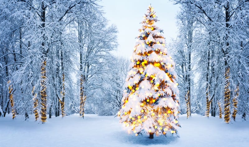 Dreaming of that White Christmas? It's been a long time since we've had any significant snowfall and there are a couple of chances for some snow this week.