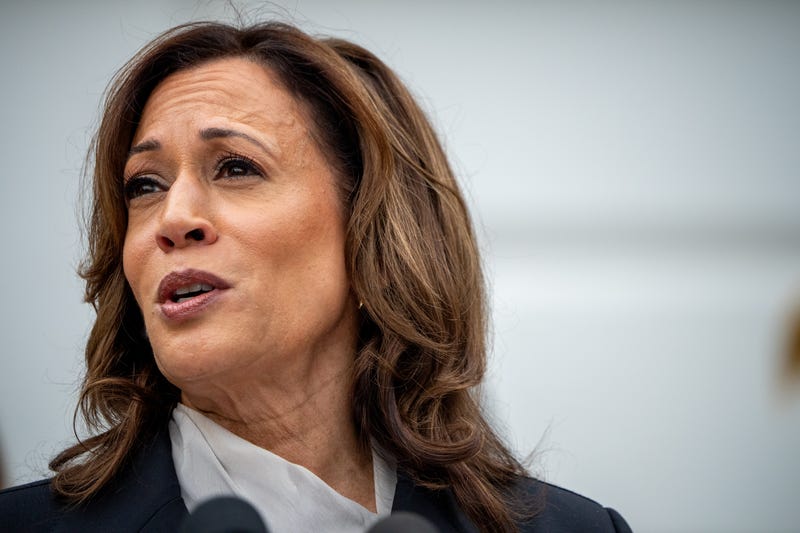 Vice President Kamala Harris speaks during an NCAA championship teams celebration on the South Lawn of the White House on July 22, 2024, in Washington, DC. President Joe Biden abandoned his campaign for a second term after weeks of pressure from fellow Democrats to withdraw, and he quickly threw his support behind Harris.