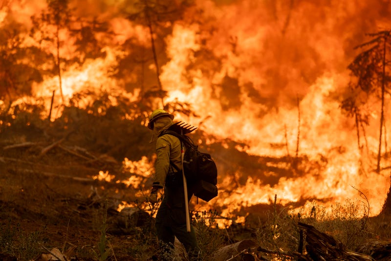 Los Angeles area wildfires