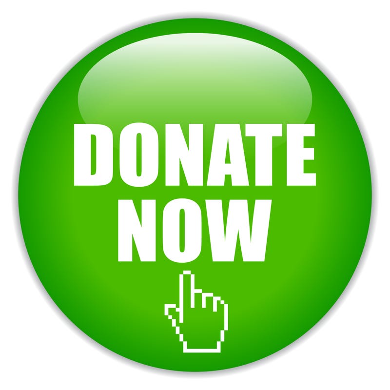donate now