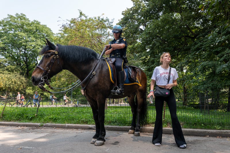 Police on horseback pause in a staging area in Central Park following a series of muggings at the park on August 15, 2024