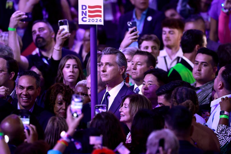 gavin newsom