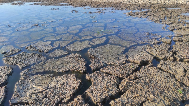 drought