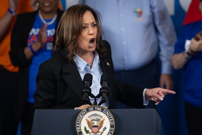 Vice President Kamala Harris