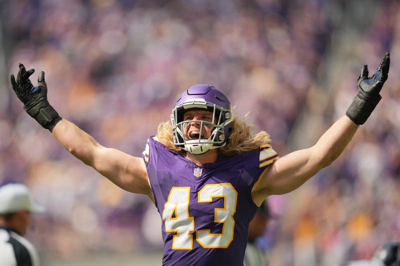 Andrew Van Ginkel #43 of the Minnesota Vikings celebrates after a sack during the second quarter against the Houston Texans at U.S. Bank Stadium on September 22, 2024 in Minneapolis, Minnesota. 