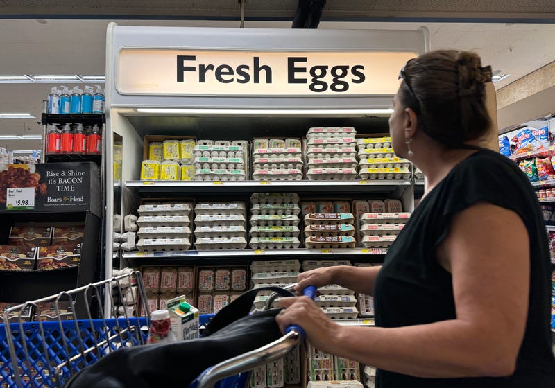 egg shopping