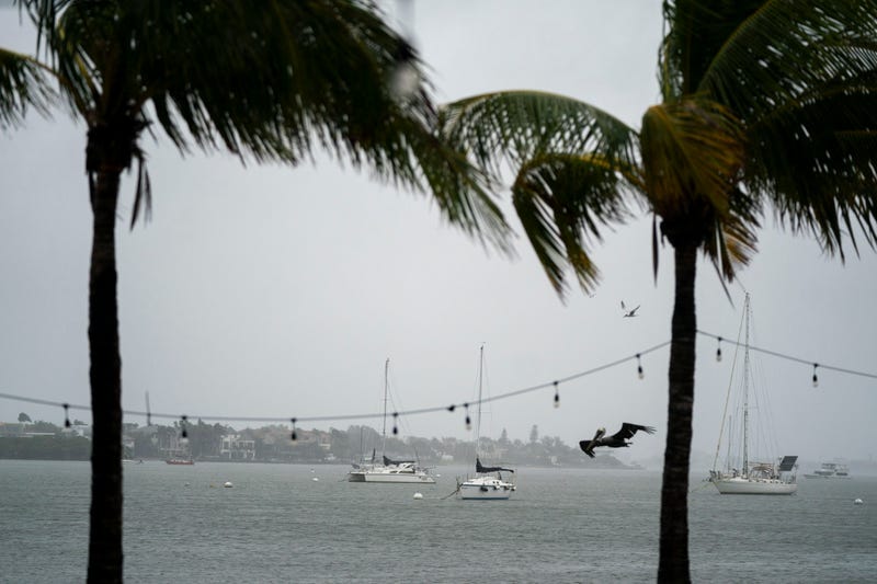 Sailboats float in the bay as Hurricane Milton approaches on October 9, 2024 in Sarasota, Florida. Forecasts predict the storm to make landfall in the area Wednesday night or Thursday morning. 