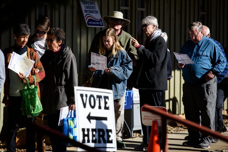 voters in line