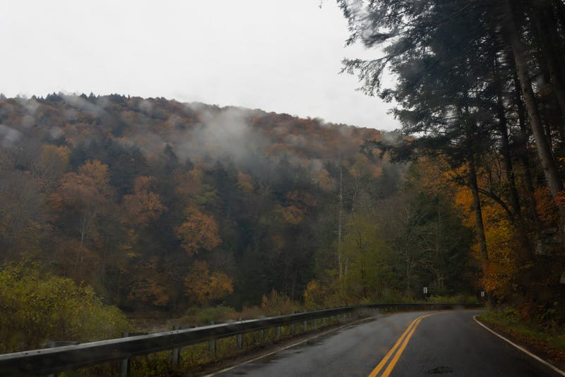 The colors of fall foliage arrive in the Catskill Park, Oct. 13, 2024, in rural Sullivan County, New York. 