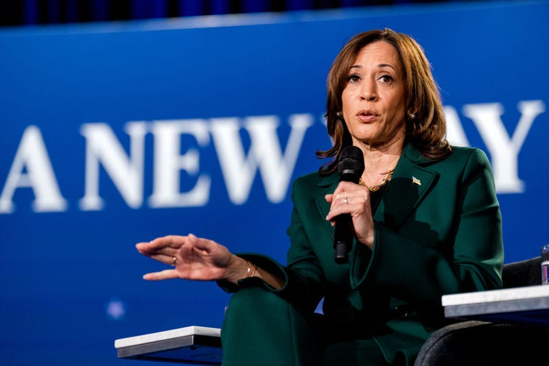 Vice President Kamala Harris, the Democratic presidential nominee, speaks at Royal Oak Music Theatre in Royal Oak, MI on Oct. 21, 2024.