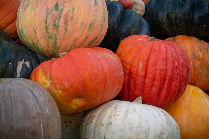 Halloween and Autumn Pumpkins piled upon each other